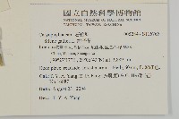 匙葉麥瓶草藏品圖，第2張