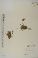 登錄號:S116768藏品圖，第1張