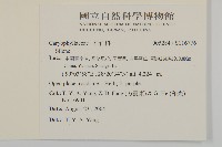 登錄號:S116776藏品圖，第2張