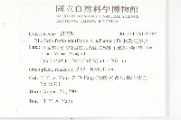 長鞭紅景天藏品圖，第2張