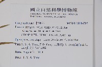 登錄號:S116785藏品圖，第2張