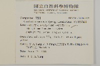 尼泊爾籟簫藏品圖，第2張