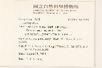 登錄號:S116791藏品圖，第2張