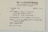 登錄號:S116795藏品圖，第2張