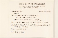 東俄洛橐吾藏品圖，第2張