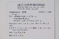 登錄號:S116816藏品圖，第2張