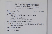 刺紅珠藏品圖，第2張