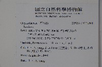 登錄號:S116841藏品圖，第2張