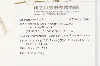 登錄號:S116843藏品圖，第2張