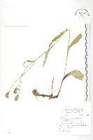 登錄號:S116844藏品圖，第1張