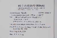 群虎草、大理白前藏品圖，第2張