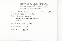 九爪藤藏品圖，第2張