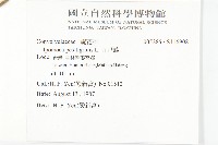 九爪藤藏品圖，第2張