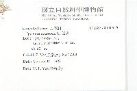 蔦蘿藏品圖，第2張