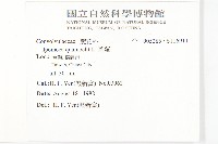 蔦蘿藏品圖，第2張