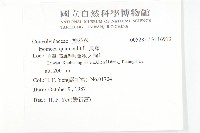 蔦蘿藏品圖，第2張