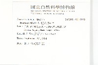 紅花野牽牛藏品圖，第2張