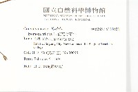 紅花野牽牛藏品圖，第2張