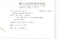 紅花野牽牛藏品圖，第2張