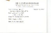 紅花野牽牛藏品圖，第2張