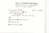 紅花野牽牛藏品圖，第2張