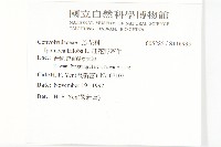 紅花野牽牛藏品圖，第2張