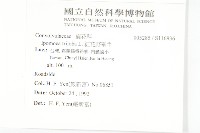 紅花野牽牛藏品圖，第2張