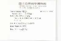 紅花野牽牛藏品圖，第2張