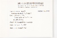 紅花野牽牛藏品圖，第2張