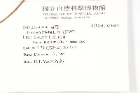 紅花野牽牛藏品圖，第2張