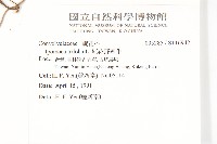 紅花野牽牛藏品圖，第2張