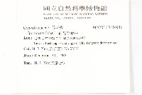 紅花野牽牛藏品圖，第2張