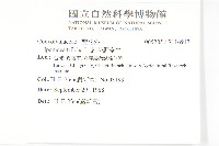 紅花野牽牛藏品圖，第2張