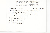 娥房藤藏品圖，第2張