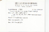 娥房藤藏品圖，第2張