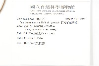 長梗毛娥房藤藏品圖，第2張