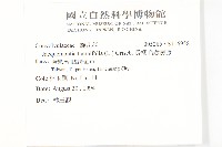 長梗毛娥房藤藏品圖，第2張
