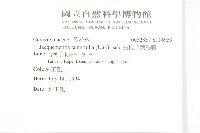 長梗毛娥房藤藏品圖，第2張