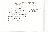 長梗毛娥房藤藏品圖，第2張