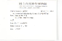 長梗毛娥房藤藏品圖，第2張