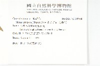 金魚花藏品圖，第2張