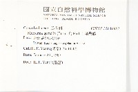 菜欒藤藏品圖，第2張