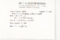 菜欒藤藏品圖，第2張