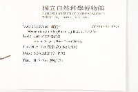 菜欒藤藏品圖，第2張