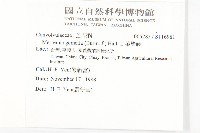 菜欒藤藏品圖，第2張