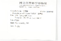 菜欒藤藏品圖，第2張