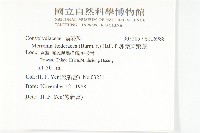 卵葉菜欒藤藏品圖，第2張