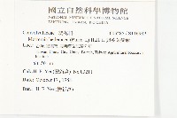 卵葉菜欒藤藏品圖，第2張