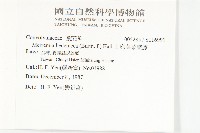 卵葉菜欒藤藏品圖，第2張