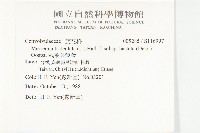 戟葉菜欒藤藏品圖，第2張